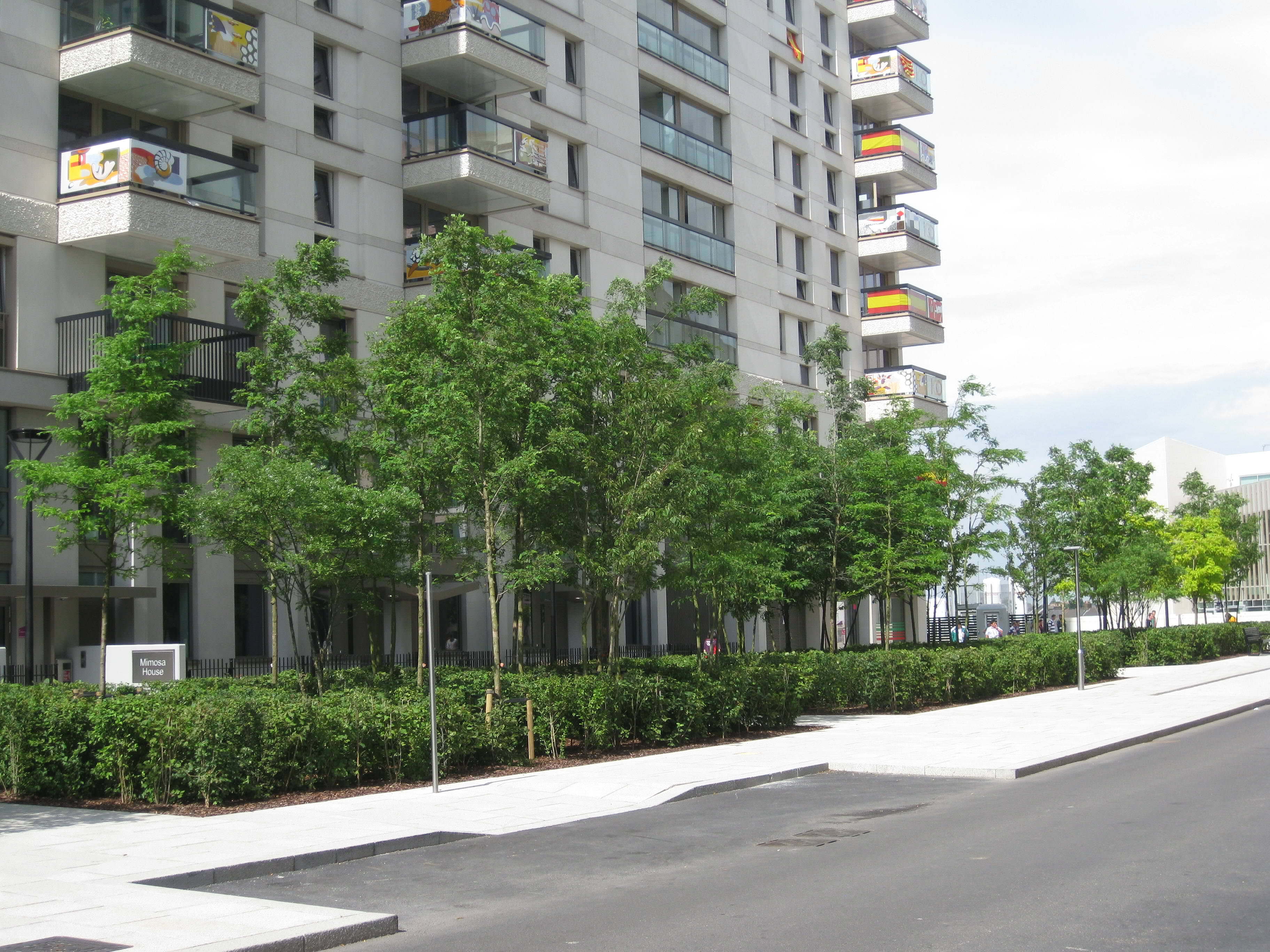 Athletes Village Frosts Landscapes